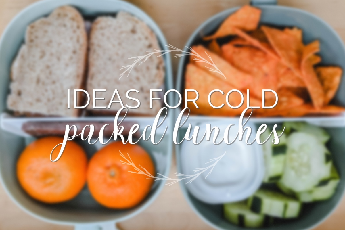 Packed Lunch Ideas {Affordable, Easy, No Microwaving!} – Allison Marie